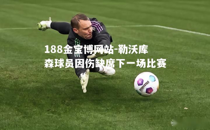 勒沃库森球员因伤缺席下一场比赛