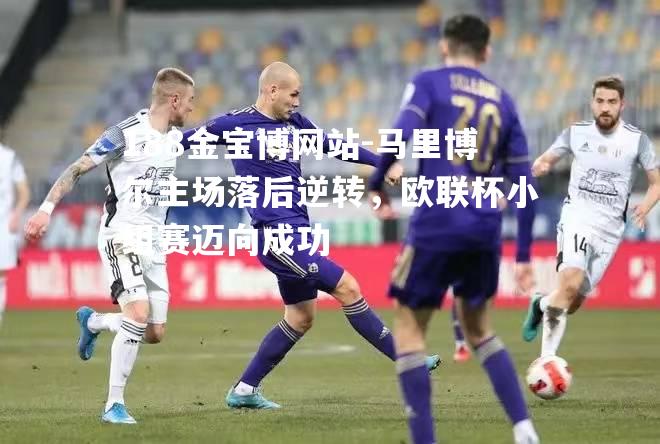 马里博尔主场落后逆转，欧联杯小组赛迈向成功