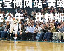 黄蜂主场力克公牛，比林斯全场22分