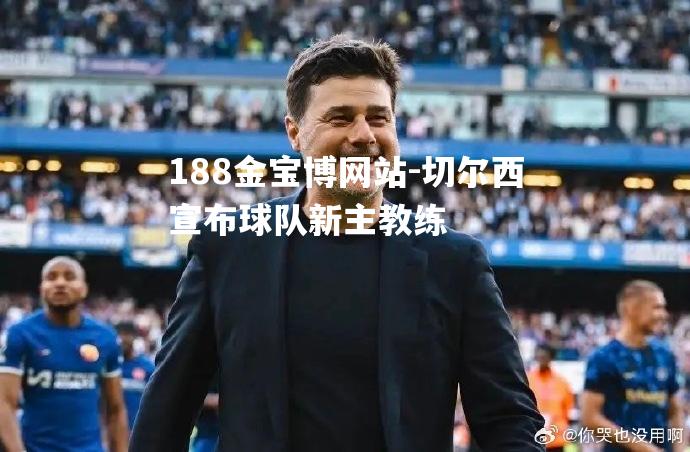 切尔西宣布球队新主教练